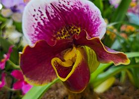 20250222_135715 Tower Hill Botanic Garden, MA